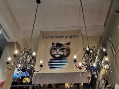 -猫咪博物馆(顶澳仔猫街店)