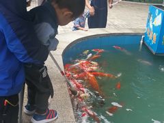 -锦艺城海洋馆