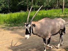 -大连森林动物园