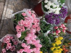 -双季花艺园艺市场(浦东店)