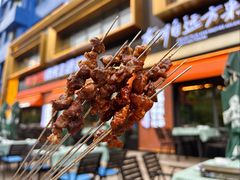 -鼎原力量东北吊炉烧烤(临河街店)