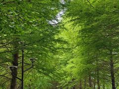 -石湖景区