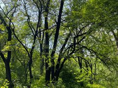 -长春市南湖公园