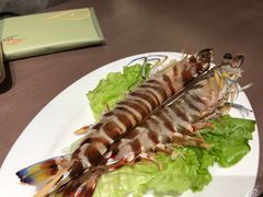 -協成海鮮火鍋(老店)