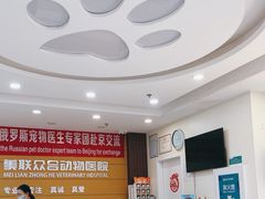 -美联众合动物医院·24h京西诊疗中心
