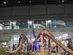 -自贡恐龙博物馆
