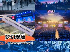 -东方体育中心(地铁站)
