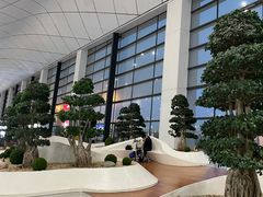 -郑州新郑国际机场