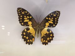 -下渚湖国家湿地公园科普馆