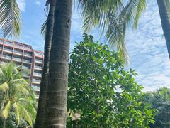 -三亚湾海居铂尔曼度假酒店