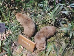 -陕西自然博物馆