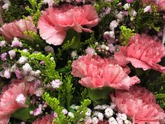 -怡花宜木鲜花店(朝阳路店)