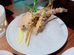 -揽季锅物会.福建黄鱼.海鲜姿造(五四路店)
