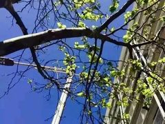 -悉尼海港大桥