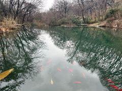 -句容茅山景区