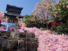 -茅山东方盐湖城景区