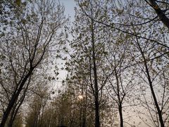 -泗洪洪泽湖湿地景区