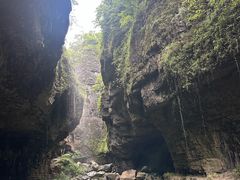 -鹿院坪生态旅游景区