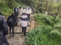 -都江堰中华大熊猫苑