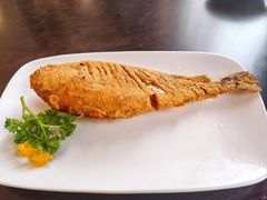 -老牌坊鲁菜名店(聊城美食岛店)