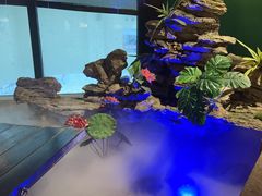 -佬麻雀·新湘菜(珠海金发购物中心店)