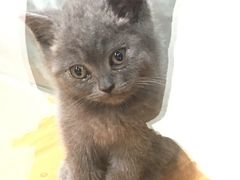 -龟与熊猫宠物公园(南坪店)