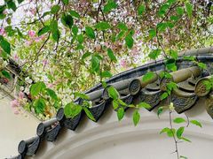 -深圳国际园林花卉博览园