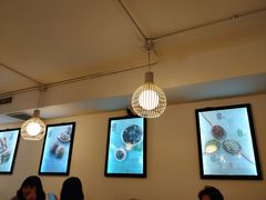 -鲜芋仙Meet Fresh(五道口店)