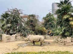 -成都动物园
