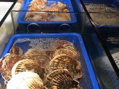 -深圳湾万怡酒店