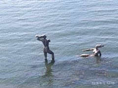 -南诏风情岛