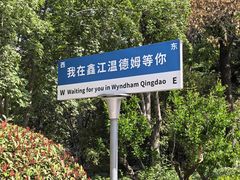 -青岛鑫江温德姆酒店