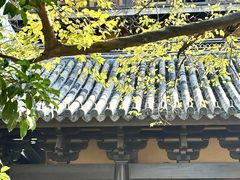 -常熟方塔园