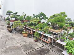 -凤凰寺