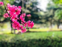 -白塘生态植物园
