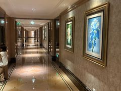 -上海闵行星河湾酒店