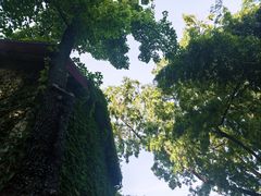 -北极阁公园