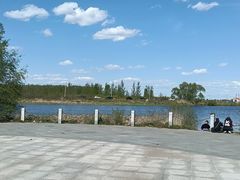 -蒲河岛湿地公园