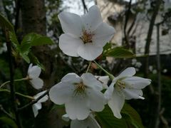 -堤角公园