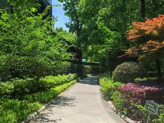 -徐家汇源景区-衡山公园