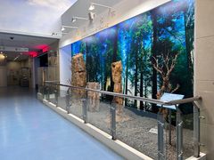 -延庆地质公园博物馆