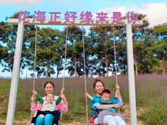 -大塘金香草谷