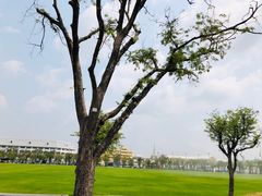 -曼谷素万那普国际机场