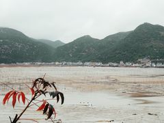 -北岐滩涂