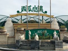-西瓜小镇