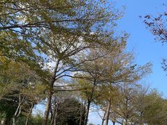-厦门园林博览苑