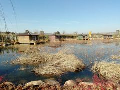 android_upload_pic-灵山莲花公园-温泉度假区