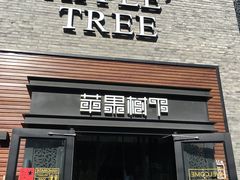 门面-苹果树下艺术餐厅(宋庄店)