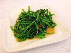 椒丝腐乳通菜-朱仔记食府(江南大道店)