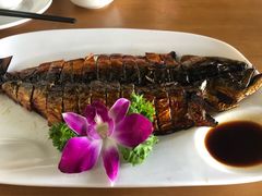 -东馆和天下特色餐饮(工农店)
